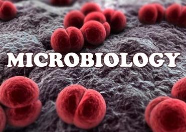 Microbiology